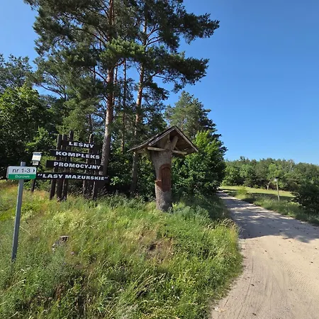 Dom Nad Krutynia Vakantiehuis Borowe